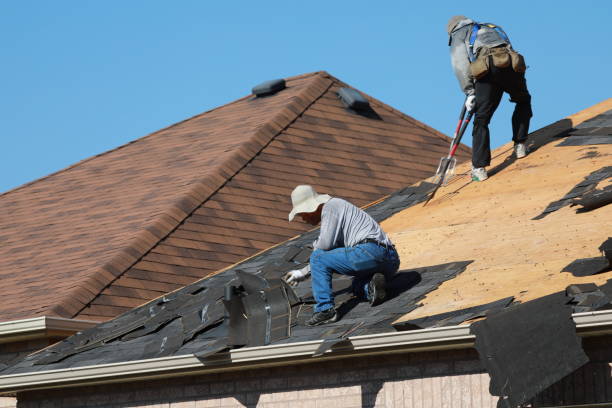 Best Storm Damage Roof Repair  in Amery, WI