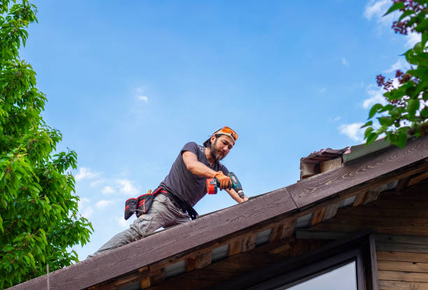 Best Cold Roofs  in Amery, WI