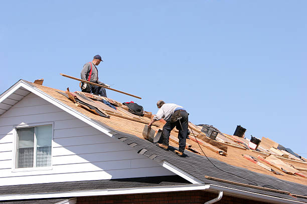 Best Roof Ventilation Installation  in Amery, WI